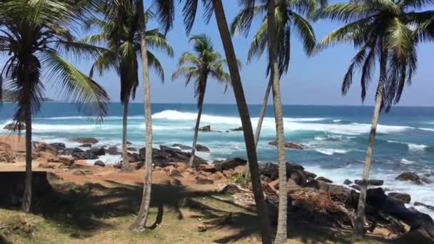 Küste Neben Dem Dondra Head Leuchtturm Südlichsten Punkt Sri Lankas — Stockvideo