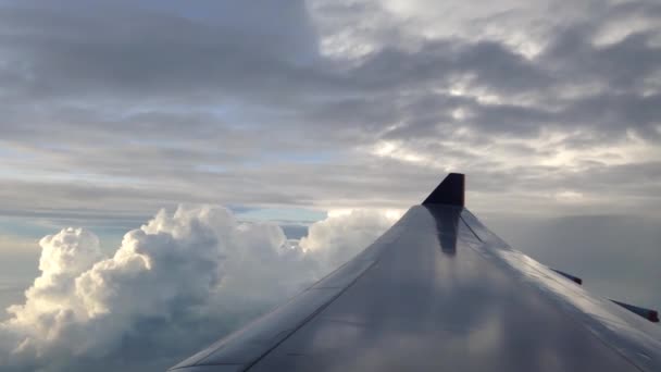 Vliegend Tussen Donkere Wolken — Stockvideo