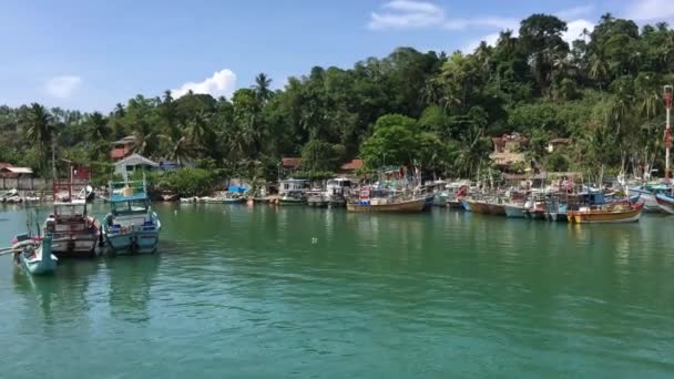 Aankomst Haven Van Mirissa Sri Lanka — Stockvideo