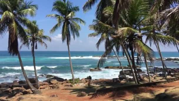 Pobřeží Majáku Dondra Head Nejjižnějším Místě Srí Lance — Stock video