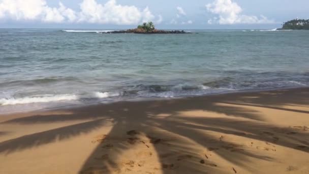 Palmtree Shadow Beach Beruwala Sri Lanka — Stock Video