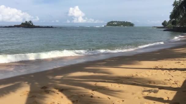 Palmboom Schaduw Het Strand Beruwala Sri Lanka — Stockvideo