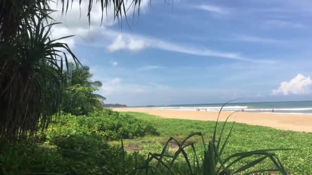 Sri Lanka Daki Bentota Plajı — Stok video