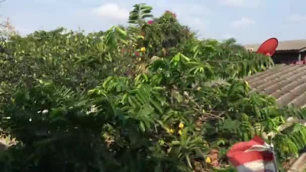 Vue Train Passant Par Les Maisons Sur Chemin Bangkok Samut — Video