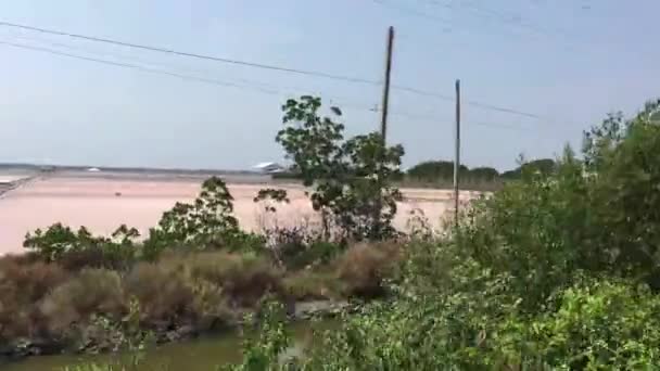 Vue Train Passant Par Les Fermes Salines Sur Chemin Tha — Video