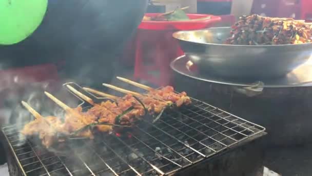 Brochette Porc Barbecue Porc Grillé Hoi Vietnam — Video