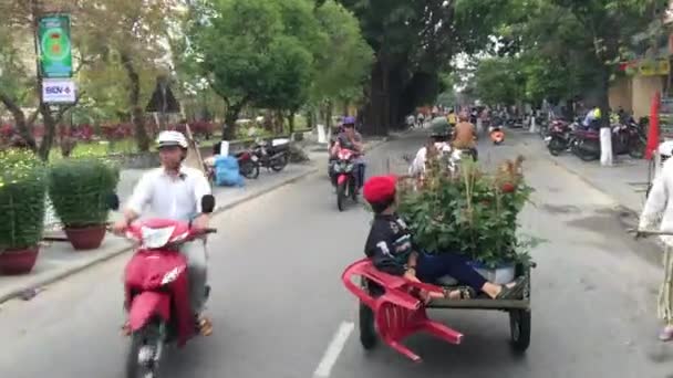 Father Son Flowers Streets Hoi Vietnam — Stock Video
