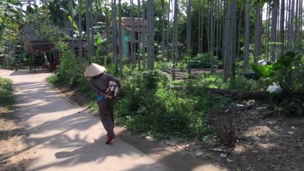 Mulher Vietnamita Caminha Com Lenha Nas Ruas Hoi Vietnam — Vídeo de Stock