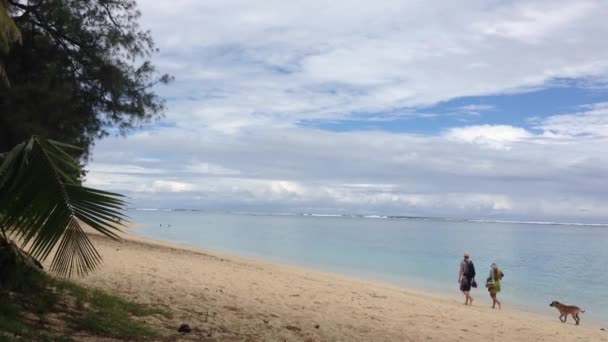 Touristes Marchant Sur Plage Des Îles Cook Rarotonga — Video