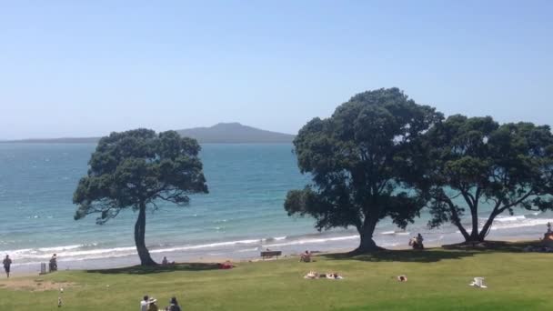 Pan Takapuna Pláž Rangitoto Ostrov Pozadí Aucklandu Nový Zéland — Stock video