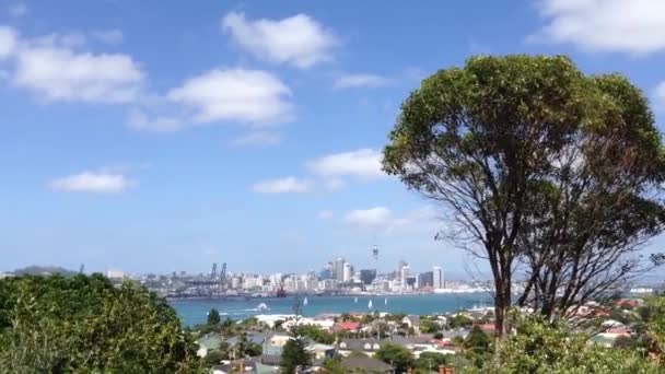 Vista Del Horizonte Auckland Desde Monte Victoria Hill Nueva Zelanda — Vídeo de stock