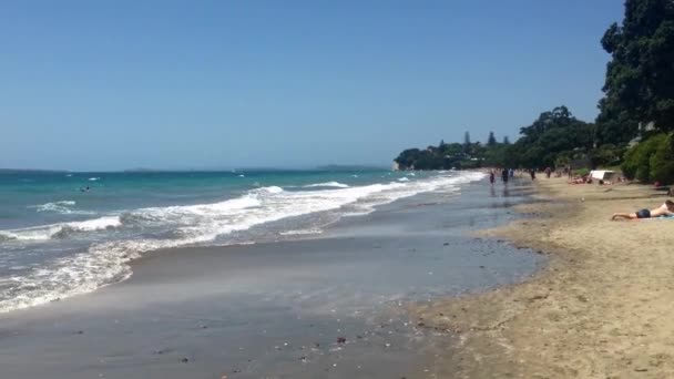 Strand Von Takapuna Auckland Neuseeland — Stockvideo