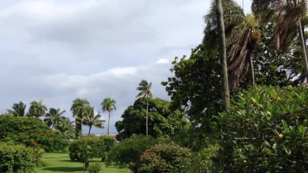 法属波利尼西亚塔希提岛的乌云 — 图库视频影像