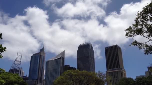 Sydney Skyline Från Botanica Trädgårdar Australien — Stockvideo
