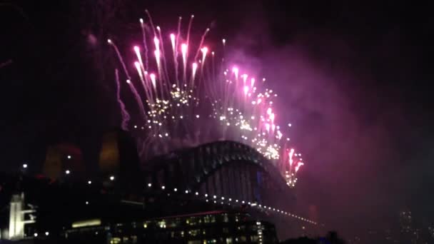 Fogos Artifício Ponte Porto Sydney Austrália — Vídeo de Stock