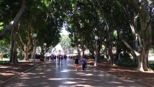 Personnes Marchant Dans Hide Park Sydney Australie — Video