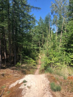 Hollanda, Overijssel 'de Hardenberg çevresindeki MTB yolu