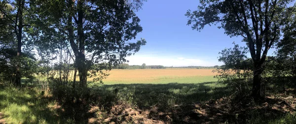 Panorama Des Terres Agricoles Autour Junne Overijssel Pays Bas — Photo