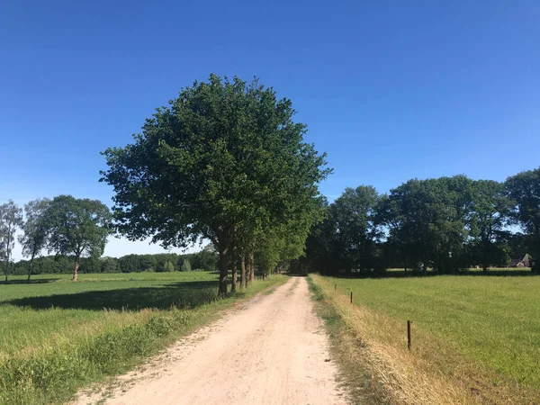 Sandstraße Rund Junne Overijssel Niederlande — Stockfoto