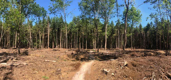 stock image MTB path around Hardenberg in Overijssel, The Netherlands