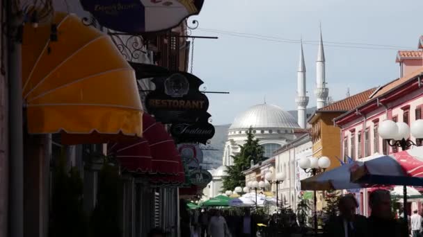 Bir Camiden Shokodr Arnavutluk Yakınlarındaki Lumi Buna Nehrine Doğru Eğil — Stok video