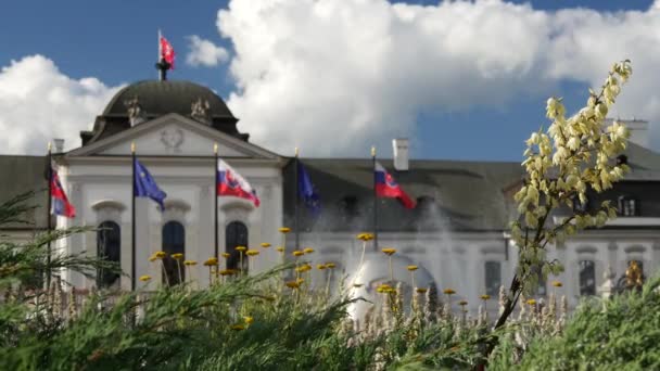 Focus Pull Flowers Presidents Grassalkovich Palace Bratislava Slovakia — Stock Video