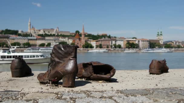 Les Chaussures Sur Rive Danube Est Avec Ferry Passant Par — Video