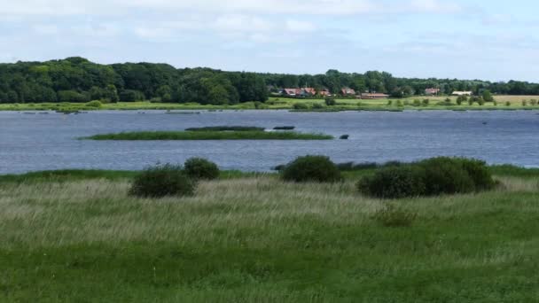 Campo Lago Grama Arhus Dinamarca — Vídeo de Stock