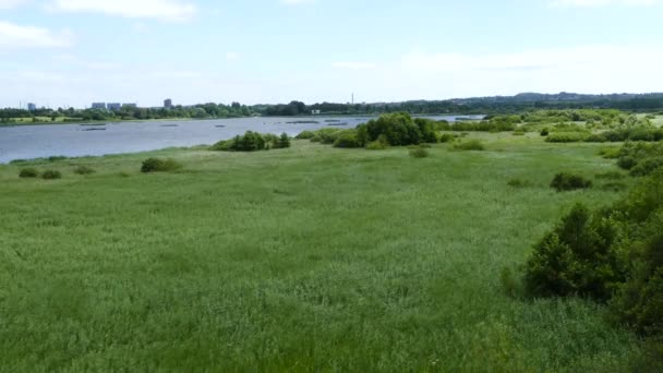 Lac et champ d'herbe à Arhus Danemark