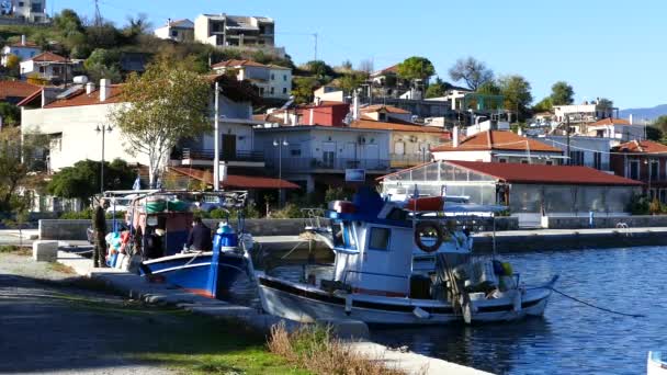 Barcos Pesca Baía Aldeia Achillio Grécia — Vídeo de Stock