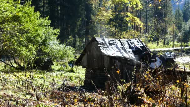 Klein Huis Het Bos Tijdens Herfst Ardeluta Roemenië — Stockvideo