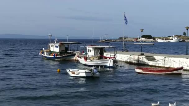 Fiskebåtar Neo Marmaras Hamn Grekland — Stockvideo