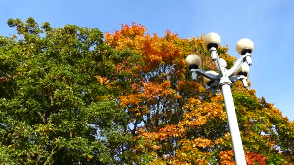 Colores Otoñales Parnu Estonia — Vídeos de Stock