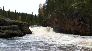 Oulanka Ulusal Parkı 'ndaki vahşi nehir Finlandiya