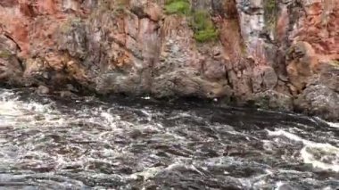 Finlandiya 'daki Oulanka Ulusal Parkı' ndaki bir dereden ormana doğru eğik.