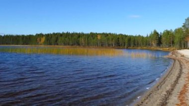 Patvinsuo Ulusal Parkı 'nda sonbahar boyunca göl