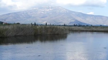 Yunanistan 'daki Igroviotopos Moustou parkında göl