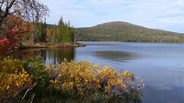 Colori Autunnali Vicino Lago Nel Parco Nazionale Pallas Yllstunturi Finlandia — Video Stock