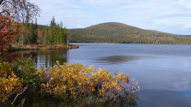 Höstfärger Bredvid Sjö Pallas Yllstunturi Nationalpark Finland — Stockvideo