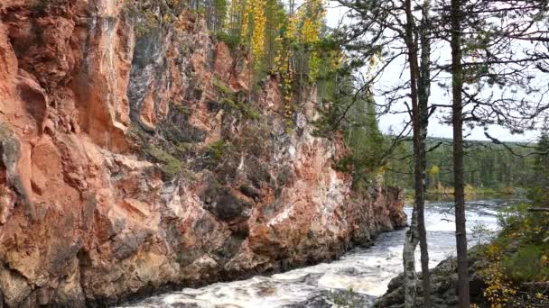 Corriente Parque Nacional Oulanka Finlandia — Vídeos de Stock