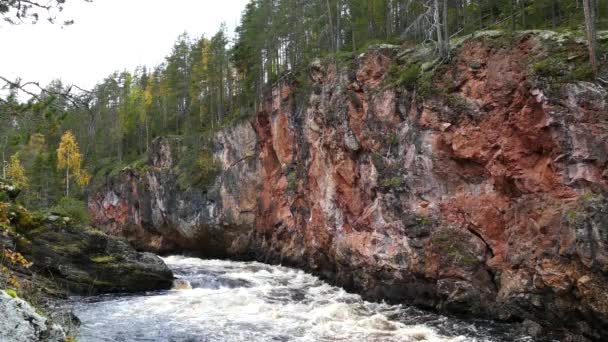 Vild Bäck Uleåborgs Nationalpark — Stockvideo