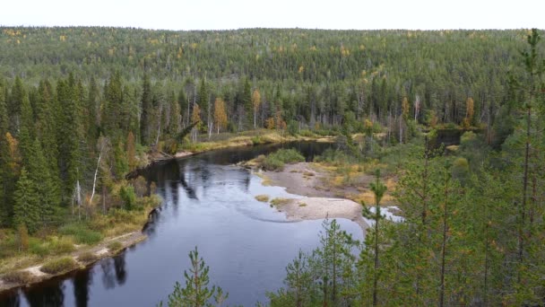 Curva Del Río Bosque Del Parque Nacional Oulanka Finlandia — Vídeos de Stock