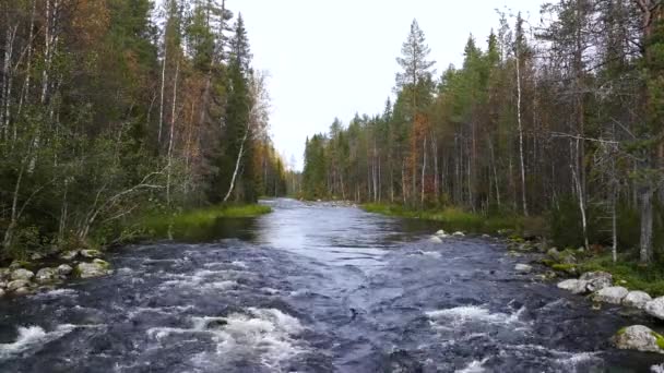 Río Bosque Del Parque Nacional Oulanka Finlandia — Vídeos de Stock