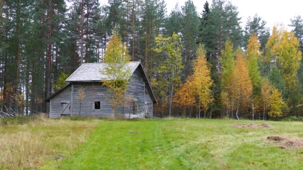 Drewniana Kabina Jesienią Lesie Parku Narodowego Patvinsuo Finlandia — Wideo stockowe