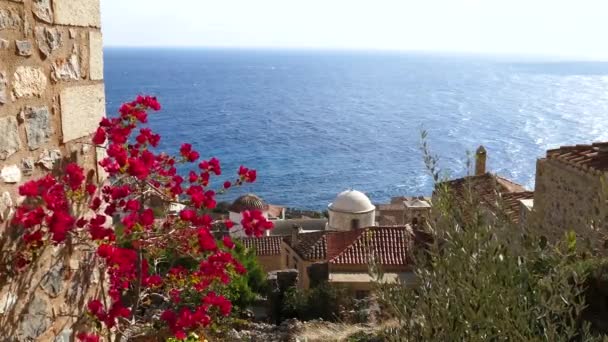 Fleurs Rouges Dans Village Monemvasia Grèce — Video