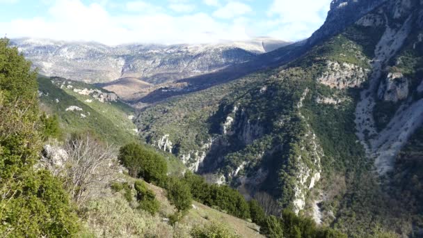 Valle Verde Garganta Vikos Del Norte Grecia — Vídeos de Stock