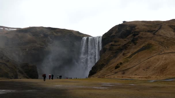 Cascade Hiver Sur Islande — Video