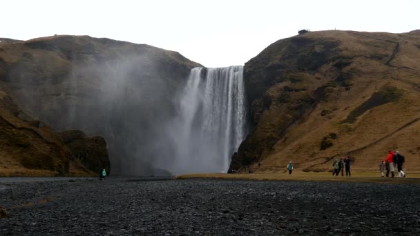 Cascade Hiver Sur Islande — Video