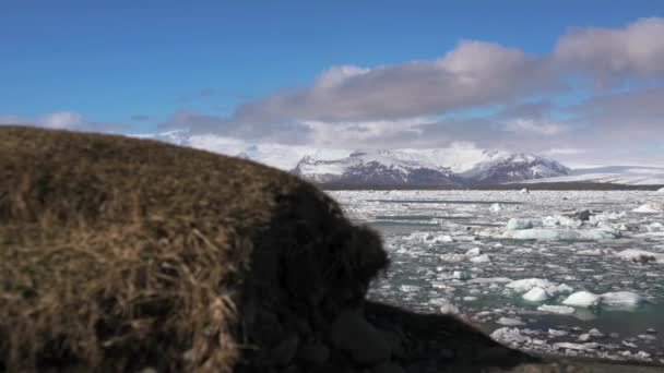 Waterval Winter Ijsland — Stockvideo