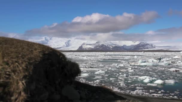 Водоспад Взимку Ісландії — стокове відео